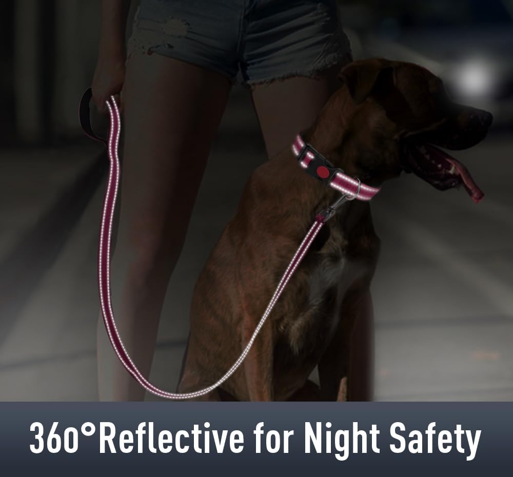Airtag-Compatible Dog Collar with Holder for Small Breeds, Reflective Design, Soft Padding, Safety Locking Buckle, Adjustable Nylon, Hot Pink, XS